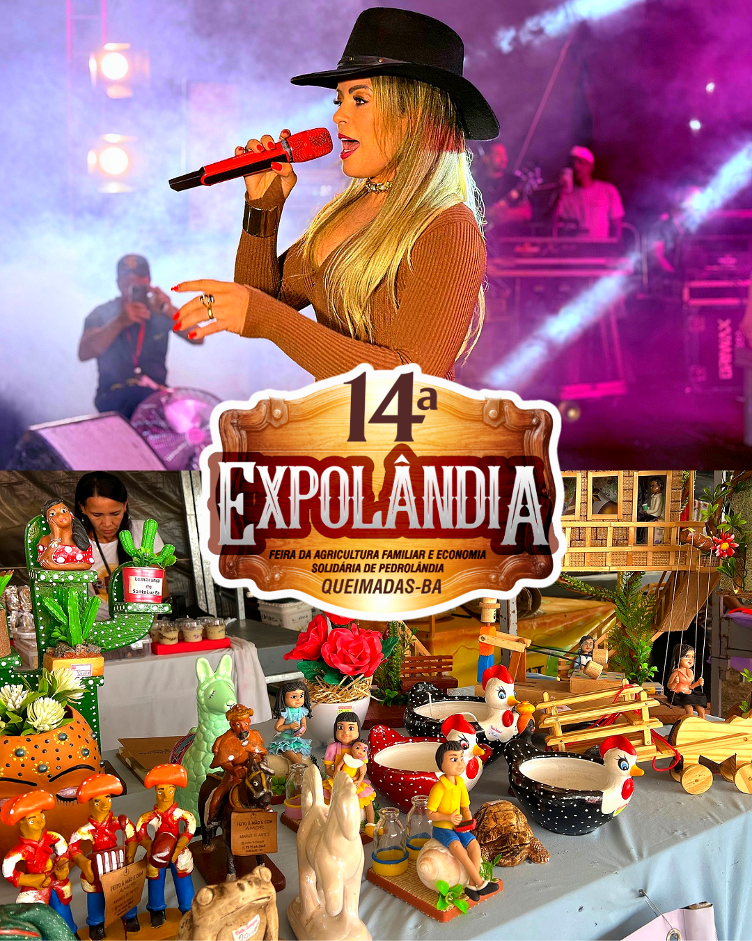 14ª EXPOLÂNDIA reúne grande público e movimenta Queimadas com feira, palestras, exposições e shows musicais em Pedrolândia