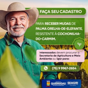 Prefeitura de Queimadas abre cadastro para distribuição de mudas de palma orelha-de-elefante